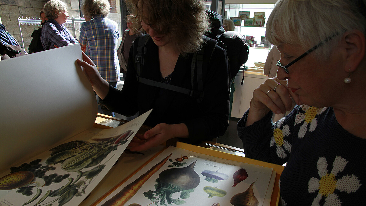 Zwei Frauen sehen sich im Gartenbaumuseum botanische Zeichnungen an.